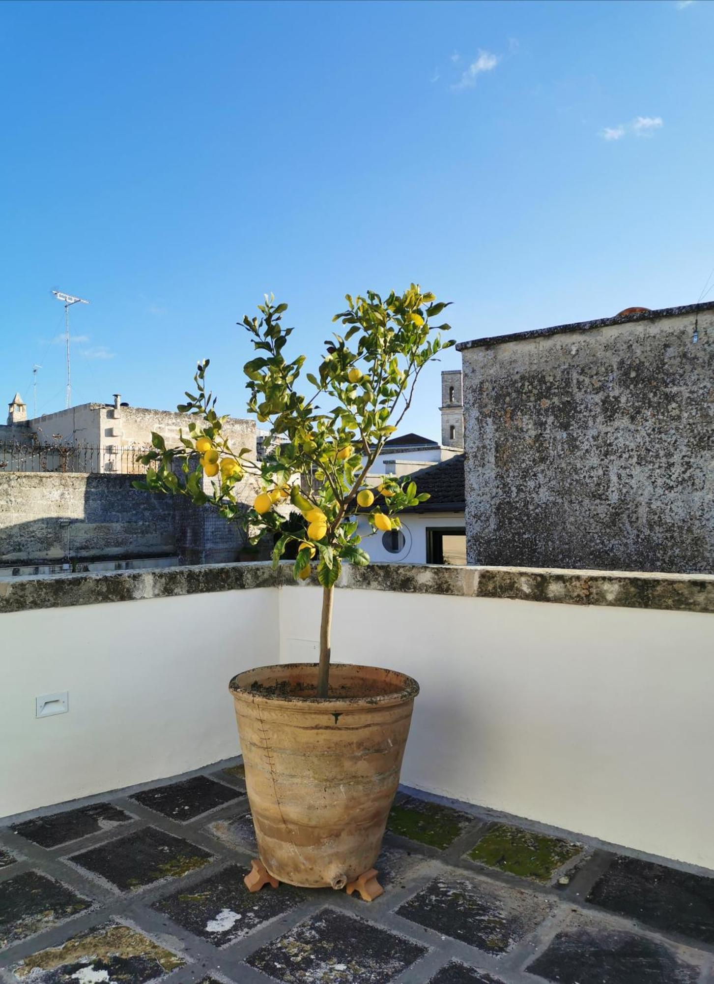 Coniger 4 Casa Vacanze In Centro Lecce Con Wi-Fi E Smart Tv Eksteriør bilde